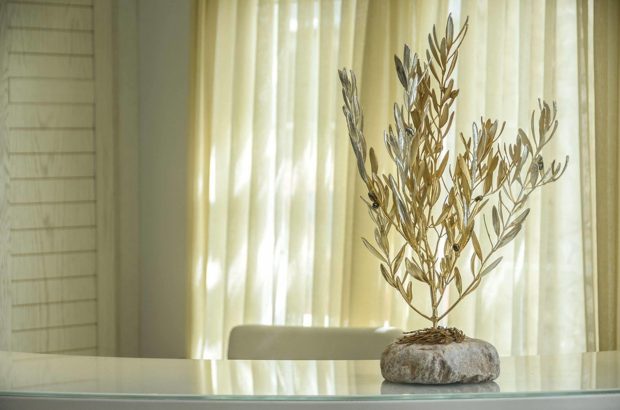 Adriani Hotel Naxos City Экстерьер фото